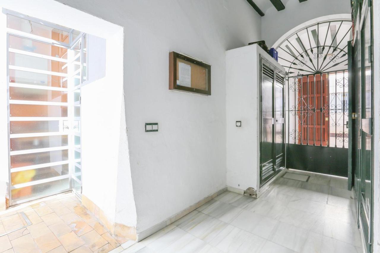 Appartement Alameda De Hercules (adults Only) *
